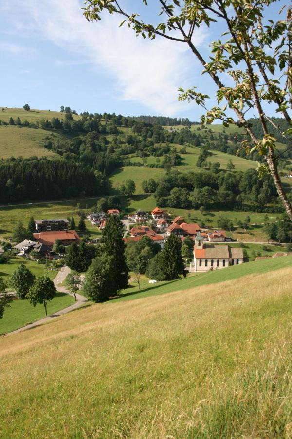 Gaestehaus Sonnhalde Wieden Esterno foto